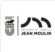 Maison des Langues Universite LYON 3